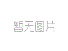 “飞行硫酸”如果您看到隐藏的有翅昆虫，请不
